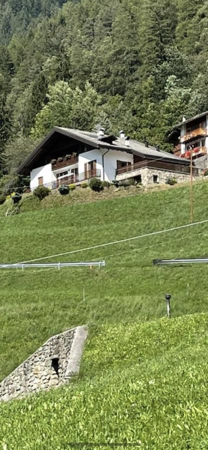 Villetta Sulle Dolomiti Пракорно-ди-Рабби Экстерьер фото